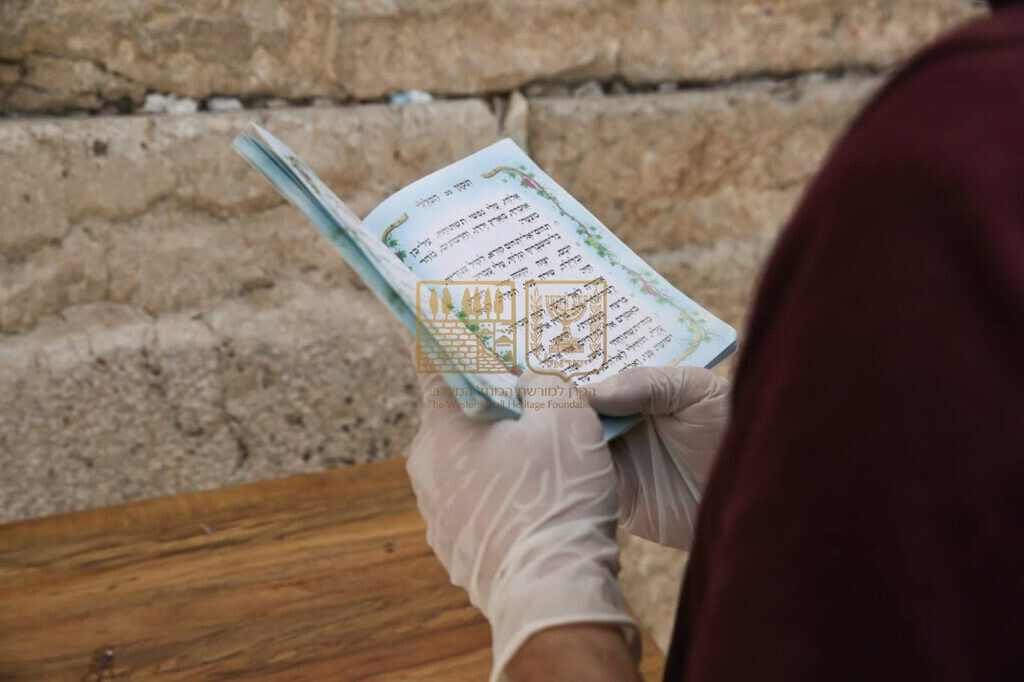 WhatsApp Image    at