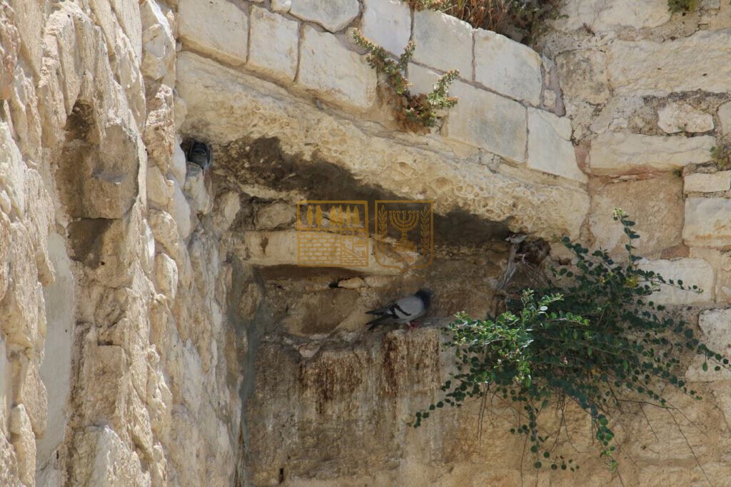 WhatsApp Image    at