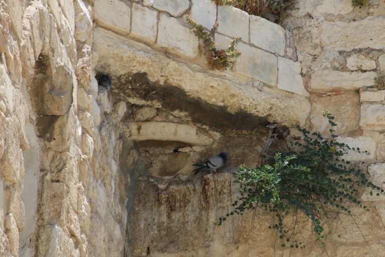 WhatsApp Image    at