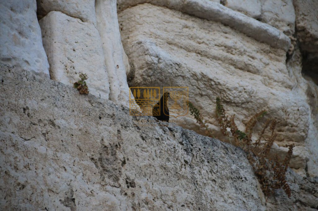 WhatsApp Image    at