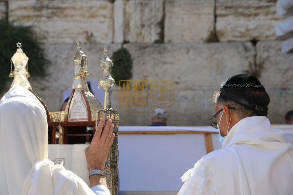 WhatsApp Image    at