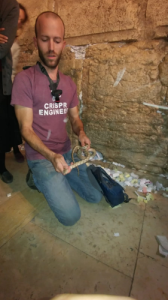 נחש זעמן מטבעות (לא ארסי) התגלה בכותל המערבי.