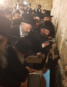 מרן הגר"ח קנייבסקי שליט"א בתפילה בכותל המערבי למען יתומים ואלמנות