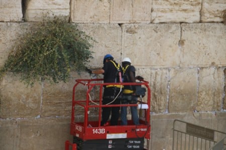 לקראתחגהסוכותוכמיטבהמסורת הבוקרברחבתהכותלהמערביפונופתקיהתפילהונבדקהתקינותאבניהכותל.