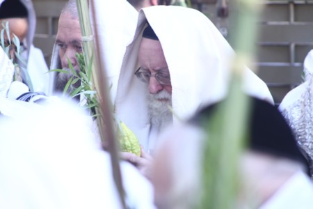 ביקור רבנים ואדמו"רים סוכות התשע"ח