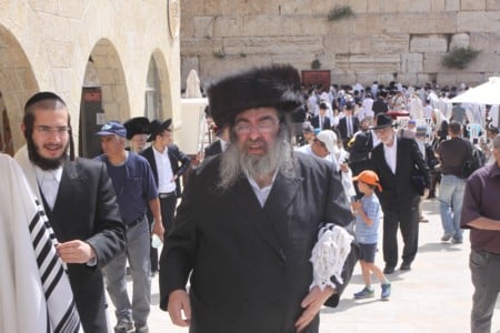rabbie meir sirota