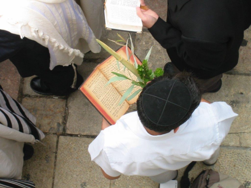 Succot