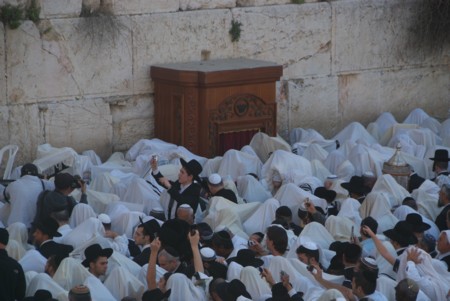 ParashaTetzaveh