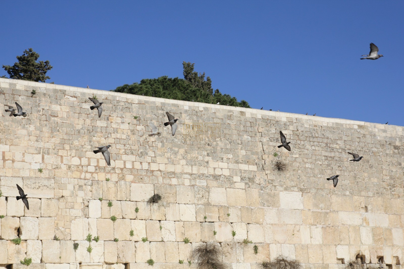Today At The Western Wall Prayers To The Recovery Of Those Wounded In