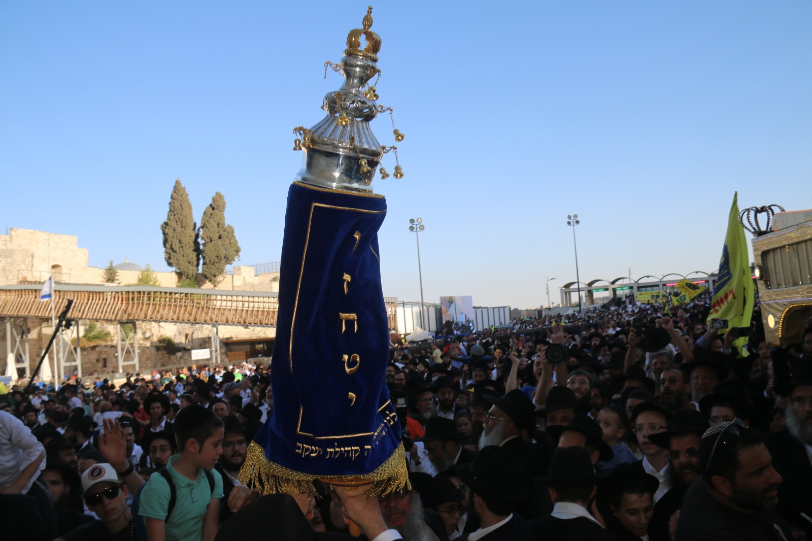 8 Children's Torah Scroll