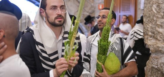 סוכות (14)