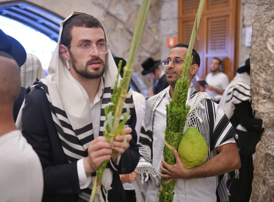 סוכות (14)