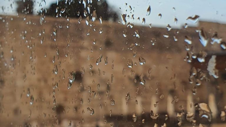 תפילת הגשם- ז חשון