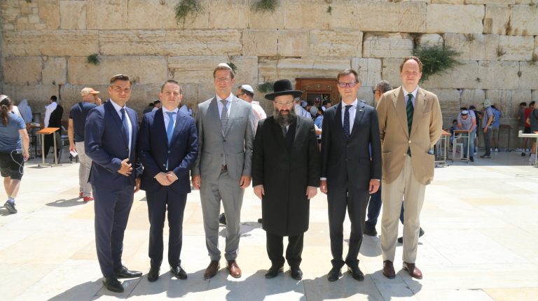 ממשלת הונגרית