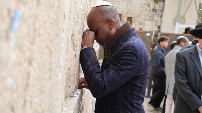 שחר החוץ של טוגו (3)