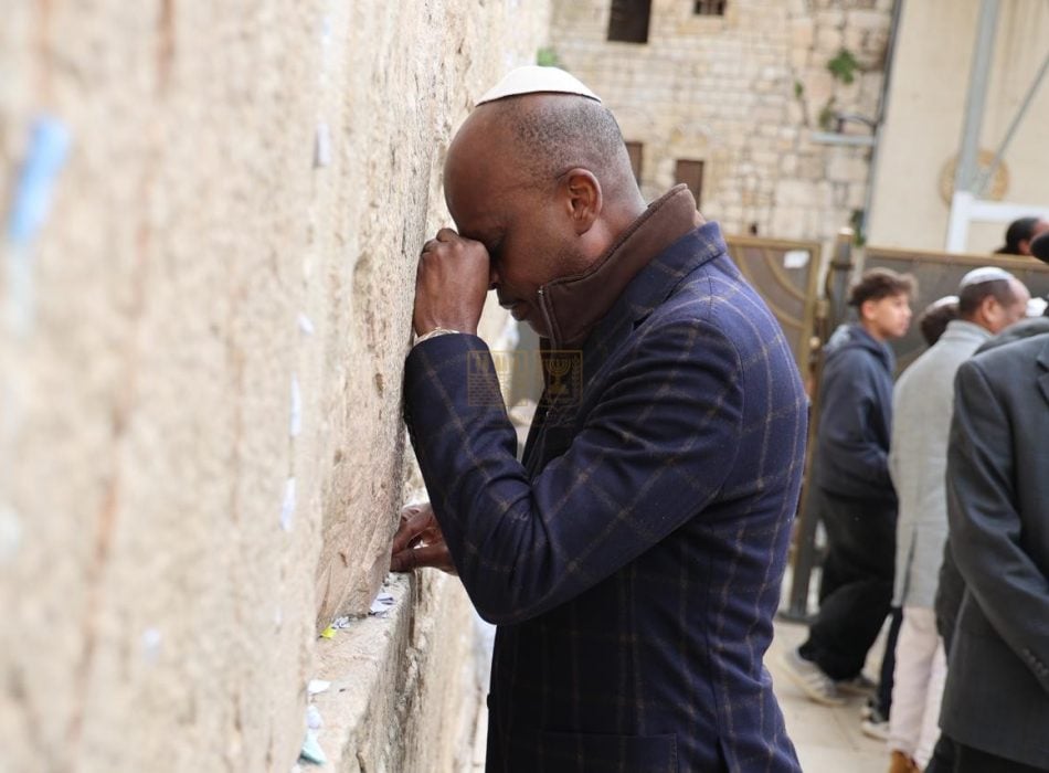 שחר החוץ של טוגו (3)