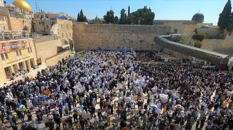 צילום מסך מהגו פרו ברכת הכהנים התשפ א פסח