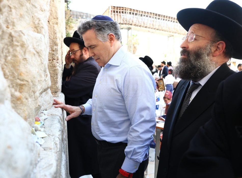 דייב מקורמיק (2)
