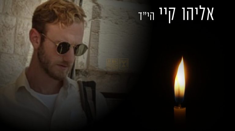 אלי קיי