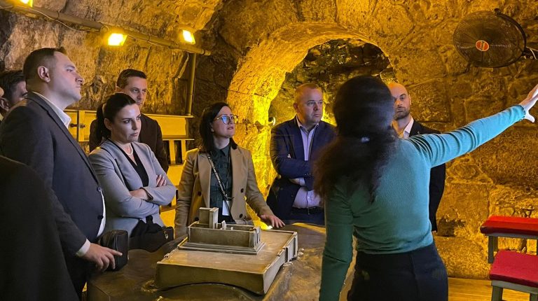 סגנית ראש ממשלת אלבניה1