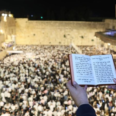 שורדי שבי ובני משפחות החטופים (4)