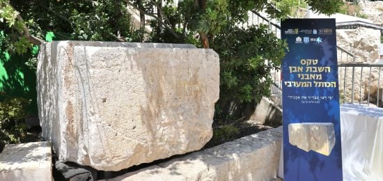 הרב שמואל רבינוביץ (2)