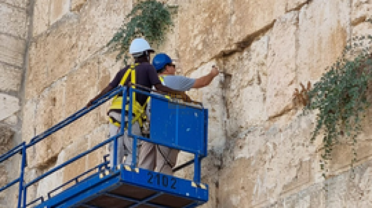 1202876535345741.XkrrfXC6mLjvStG18HLQ_height640