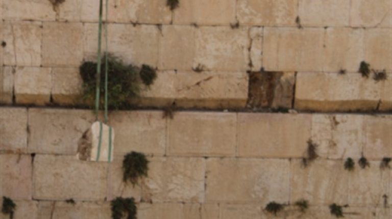 פינויהאבןשנפלהמהכותלהמערבי,שמשקלהנאמדבכ?ק"ג