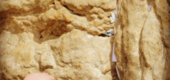הכי נוגע שיש
