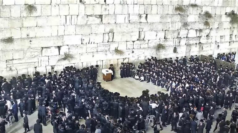 1a3daae8-7aa3-477d-a12b-5e20dd85f194