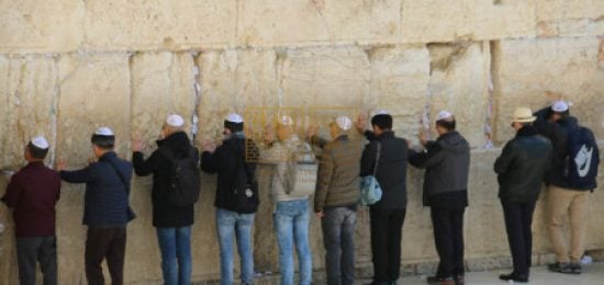 הכותל המערבי – למי ניתנת החוכמה? ? פרשת כי תשא הכותלהמערבי למיניתנתהחוכמה??פרשתכיתשא