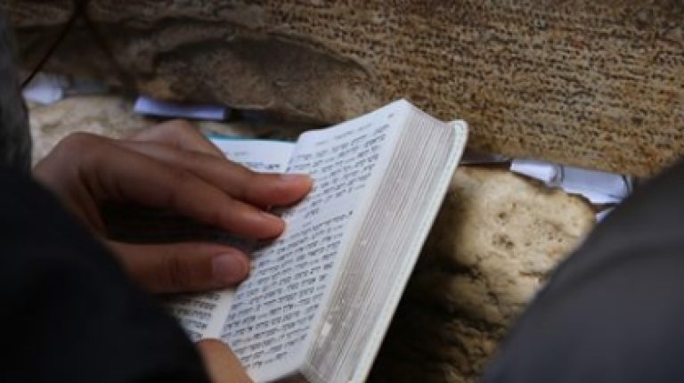 הכותלהמערבי מתינותמולעצלות?פרשתתצוה