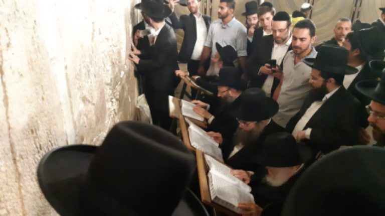 מרן הגר"ח קנייבסקי שליט"א בתפילה בכותל המערבי לקראת ראש השנה