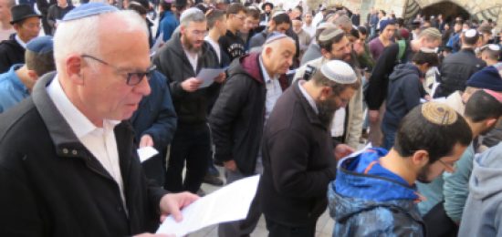 מאות השתתפו בתפילת ההודיה על הגשם שנערכה בכותל המערבי