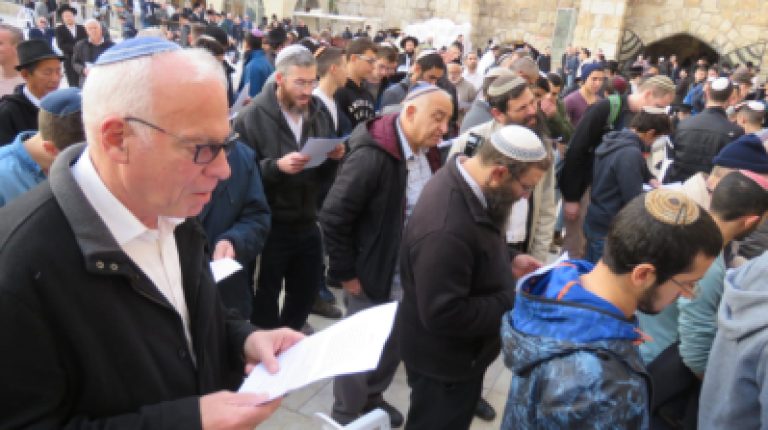 מאות השתתפו בתפילת ההודיה על הגשם שנערכה בכותל המערבי