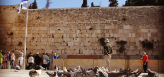 בוקר בכותל המערבי