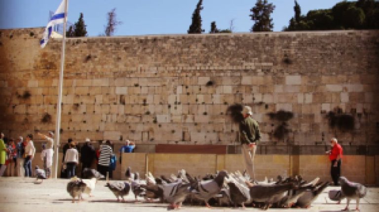 בוקר בכותל המערבי