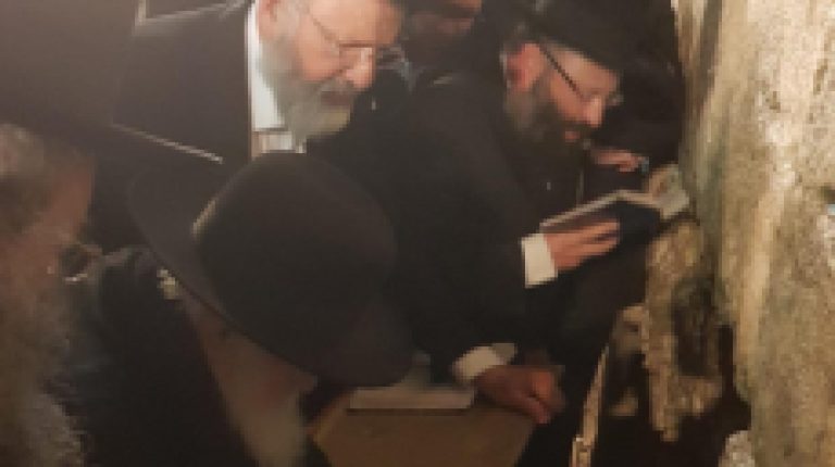 מרן הגר"ח קנייבסקי שליט"א בתפילה בכותל המערבי למען יתומים ואלמנות