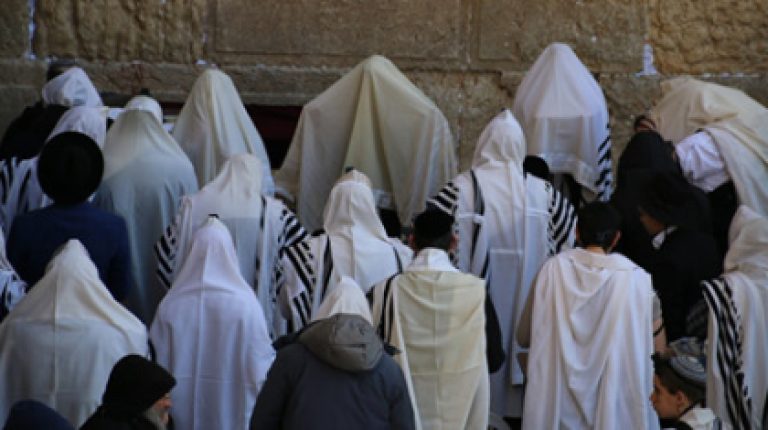 הכותלהמערבי חמלהומנהיגות?פרשתשמות