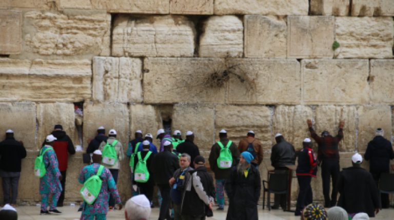 תיירים מניגריה בביקור בכותל המערבי