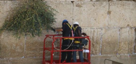 לקראתחגהסוכותוכמיטבהמסורת הבוקרברחבתהכותלהמערביפונופתקיהתפילהונבדקהתקינותאבניהכותל.
