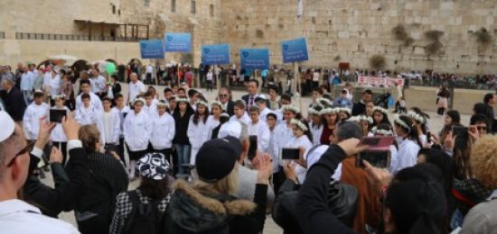 בר ובת מצווה לילדי נפגעי פעולות איבה