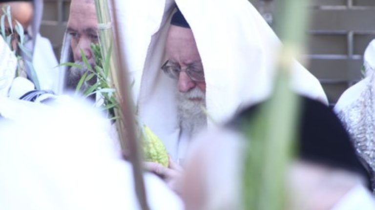 ביקור רבנים ואדמו"רים סוכות התשע"ח