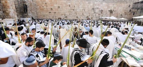 סוכות בכותל