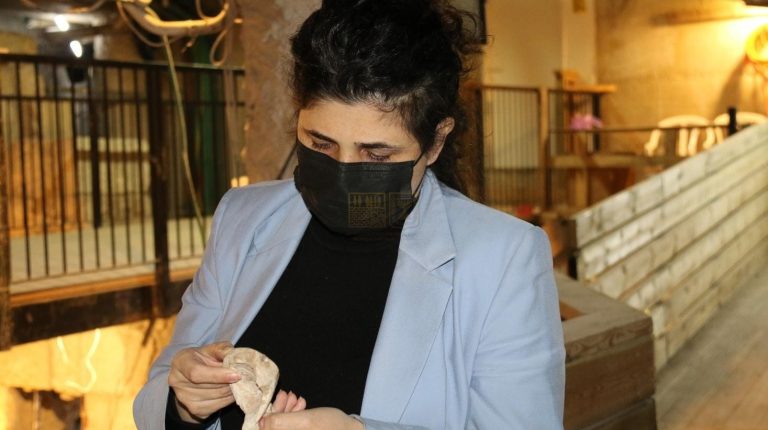 יו"ר ועדת החינוך ח"כ שרן השכל בביקור בחפירות החדשות במנהרות הכותל ובמרכז שרשרת הדורות החדש