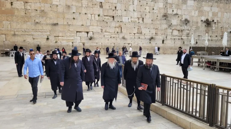 WhatsApp Image 2022-03-06 at 12.02.08