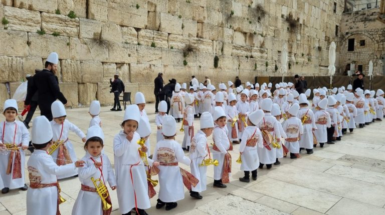 WhatsApp Image 2022-03-14 at 12.45.06