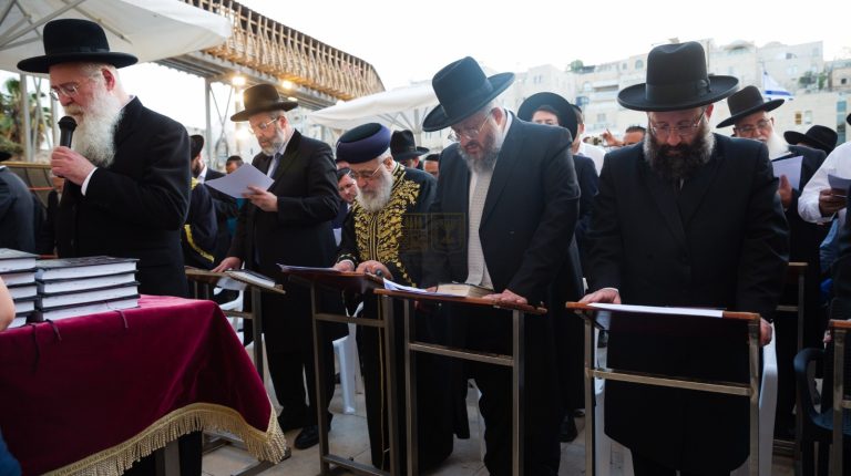 WhatsApp Image 2022-05-01 at 09.07.27