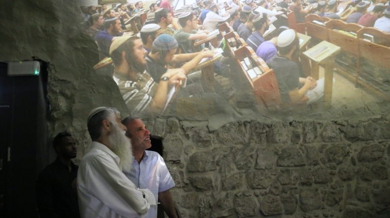 WhatsApp Image 2022-05-01 at 09.57.01