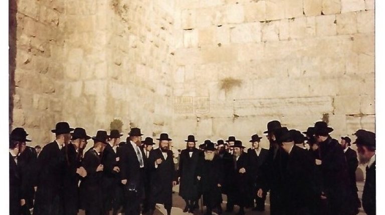 WhatsApp Image 2022-07-06 at 09.42.34